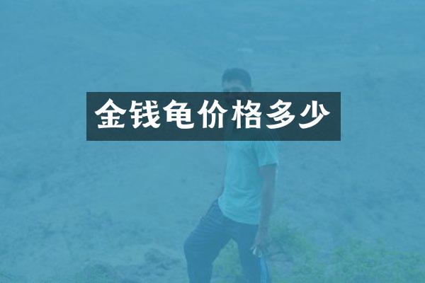 金钱龟价格多少
