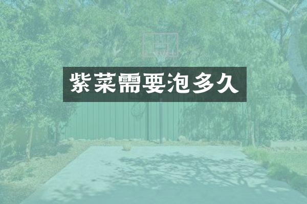 紫菜需要泡多久