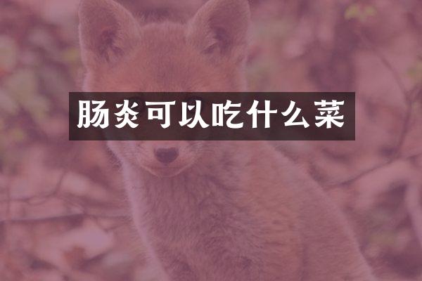 肠炎可以吃什么菜