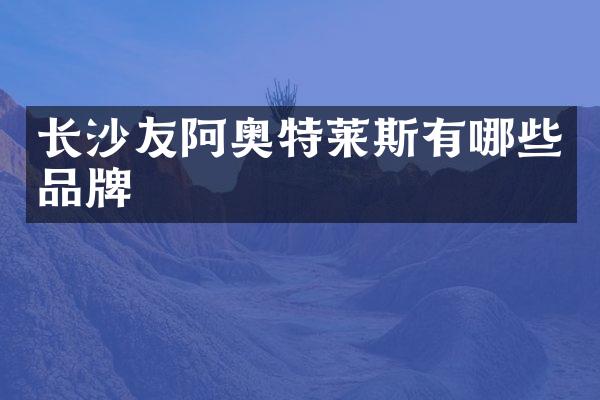 长沙友阿奥特莱斯有哪些品牌