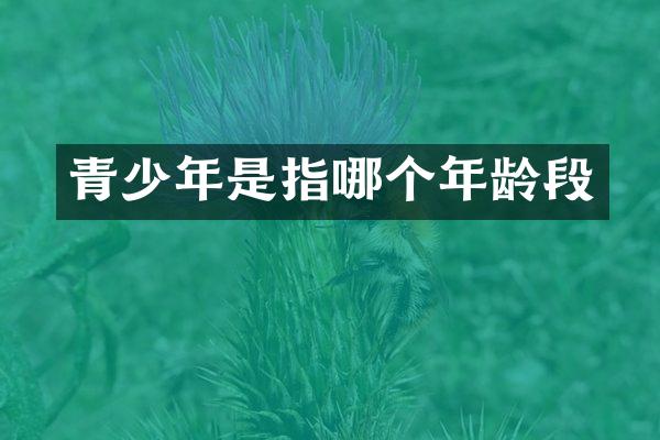 青少年是指哪个年龄段