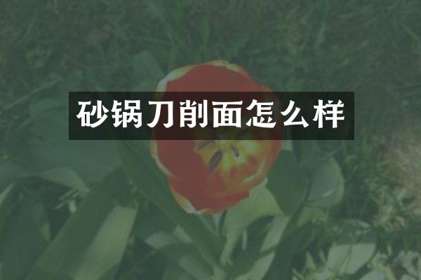 砂锅刀削面怎么样