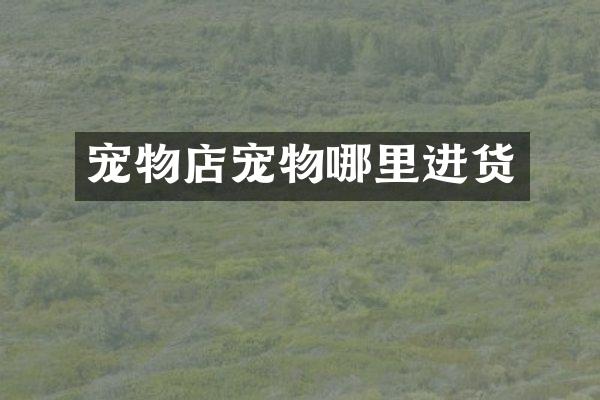 宠物店宠物哪里进货