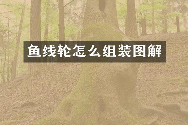 鱼线轮怎么组装图解