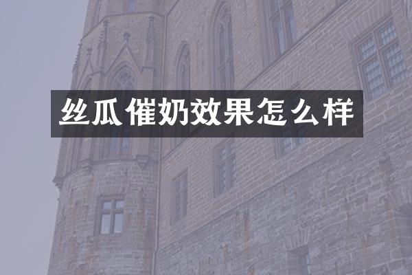 丝瓜催奶效果怎么样