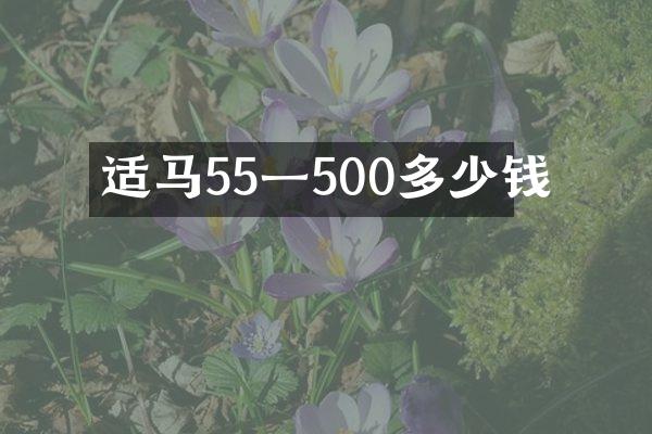 适马55一500多少钱