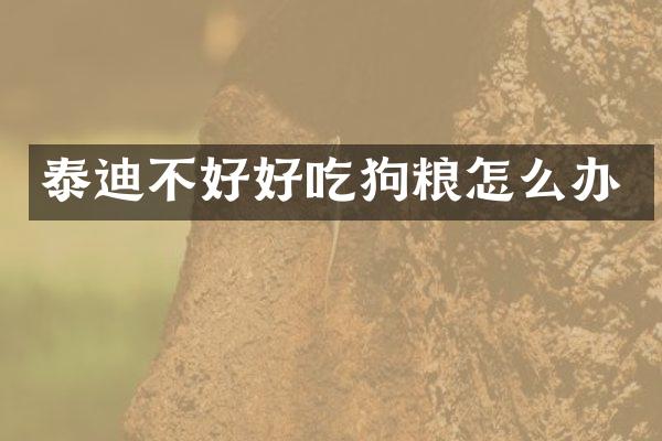泰迪不好好吃狗粮怎么办