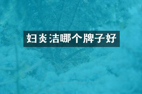 妇炎洁哪个牌子好