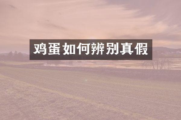 鸡蛋如何辨别真假