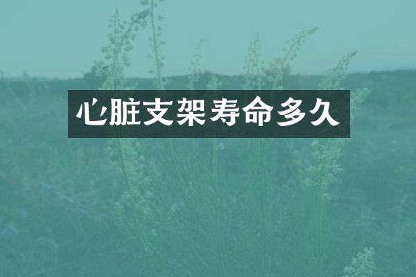 心脏支架寿命多久