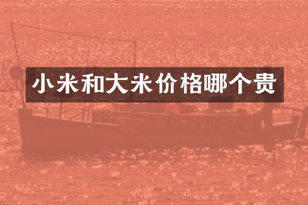小米和大米价格哪个贵