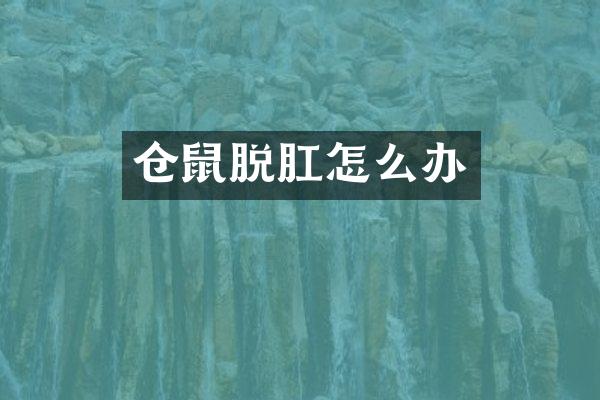 仓鼠脱肛怎么办