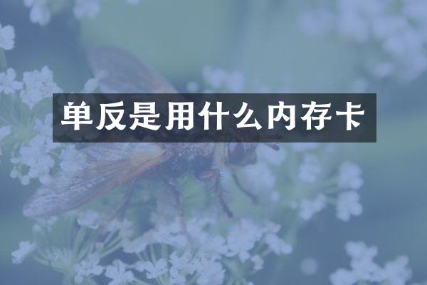 单反是用什么内存卡