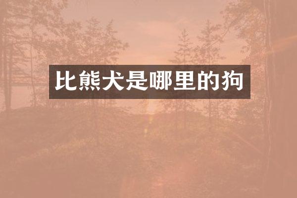 比熊犬是哪里的狗