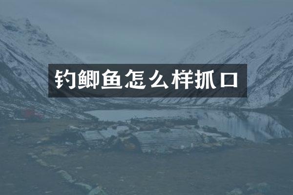 钓鲫鱼怎么样抓口