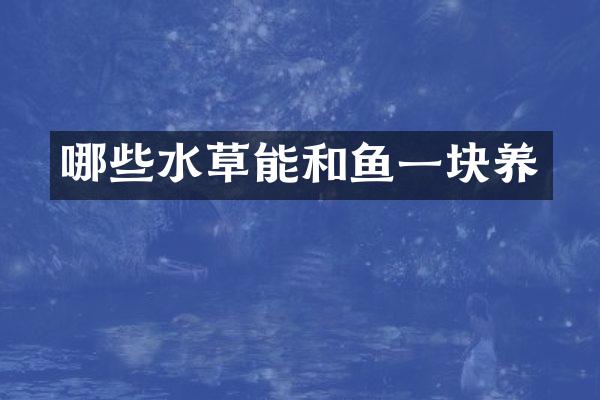 哪些水草能和鱼一块养
