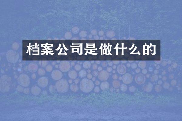 档案公司是做什么的