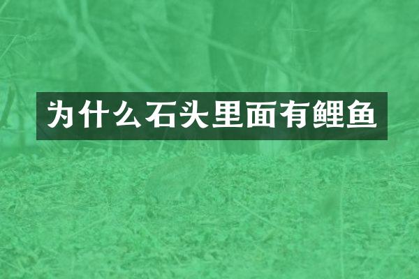 为什么石头里面有鲤鱼