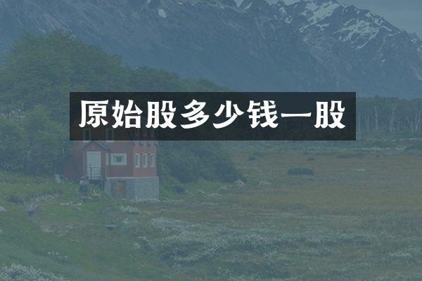 原始股多少钱一股