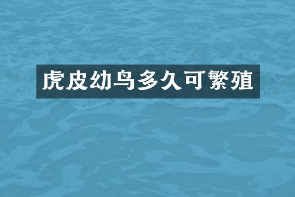 虎皮幼鸟多久可繁殖