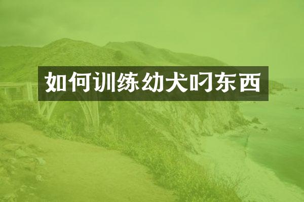 如何训练幼犬叼东西