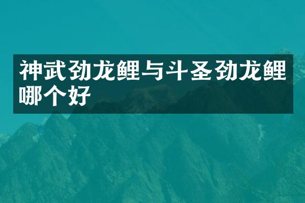 神武劲龙鲤与斗圣劲龙鲤哪个好