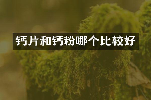 钙片和钙粉哪个比较好