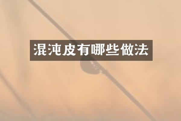 混沌皮有哪些做法