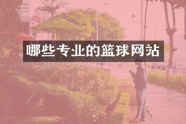 哪些专业的篮球网站