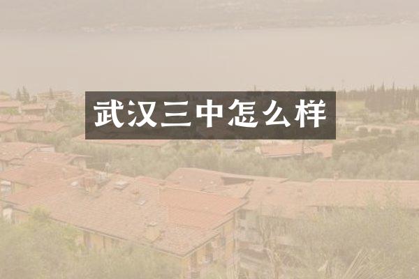 武汉三中怎么样
