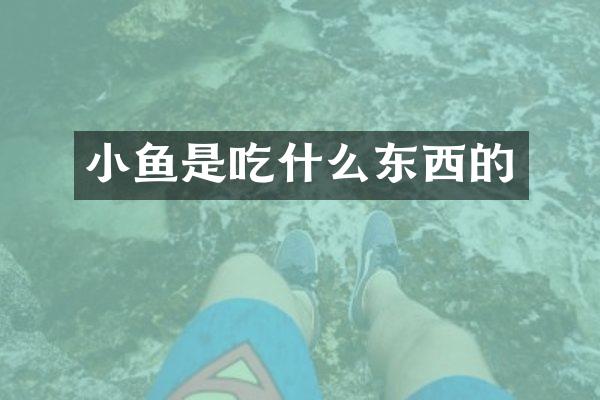 小鱼是吃什么东西的