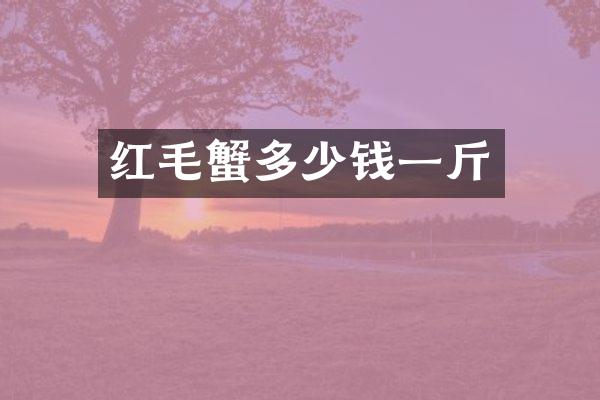 红毛蟹多少钱一斤