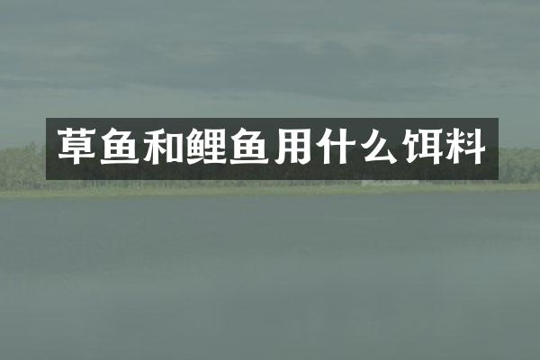 草鱼和鲤鱼用什么饵料