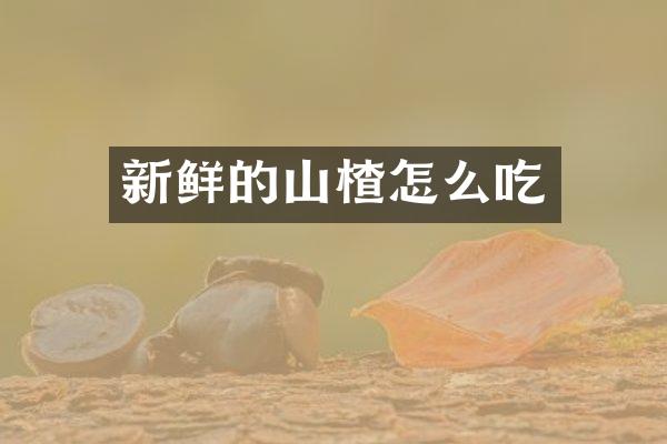 新鲜的山楂怎么吃