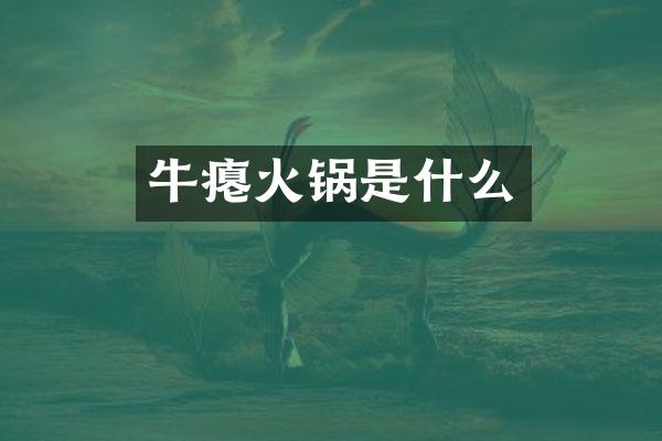 牛瘪火锅是什么