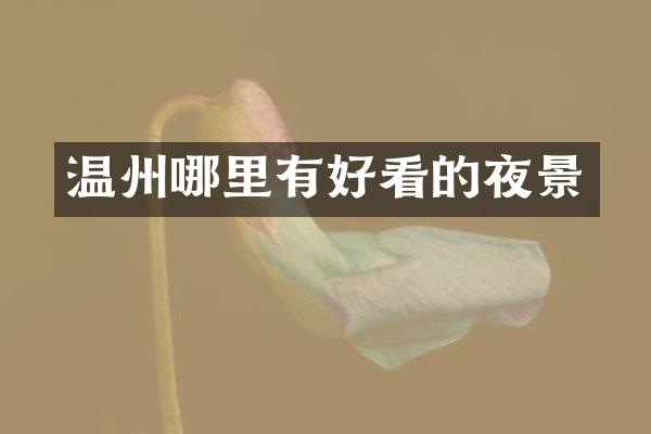 温州哪里有好看的夜景