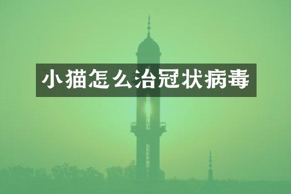 小猫怎么治冠状病毒