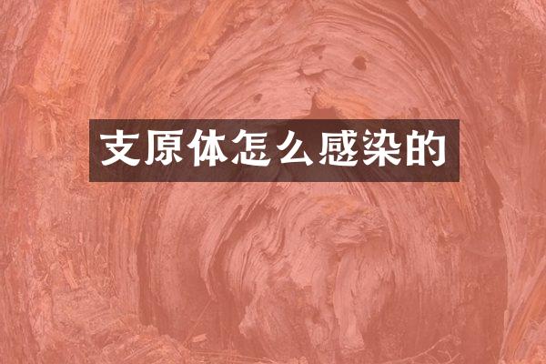 支原体怎么感染的