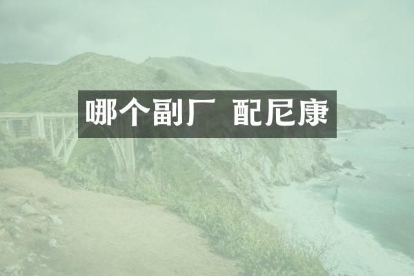 哪个副厂 配尼康