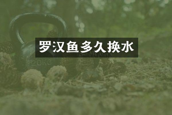 罗汉鱼多久换水