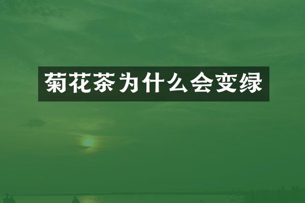 菊花茶为什么会变绿