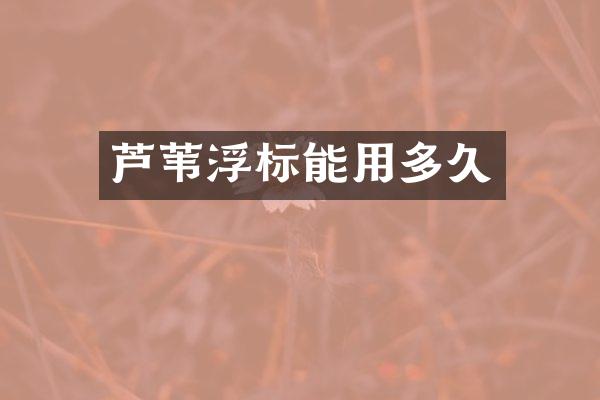 芦苇浮标能用多久