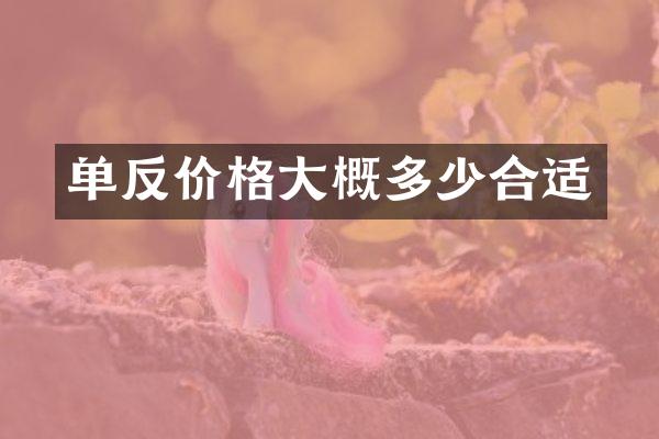 单反价格大概多少合适