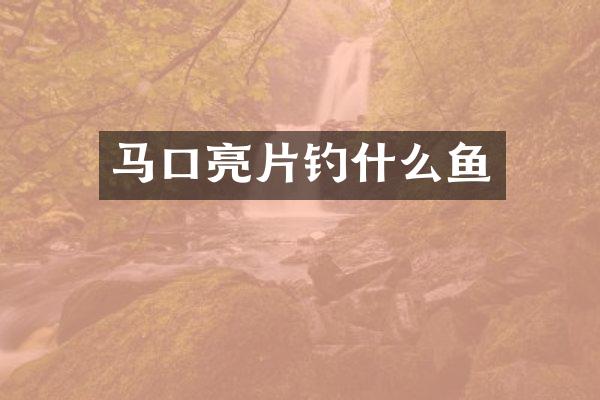 马口亮片钓什么鱼