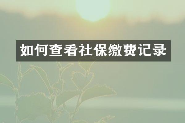 如何查看社保缴费记录