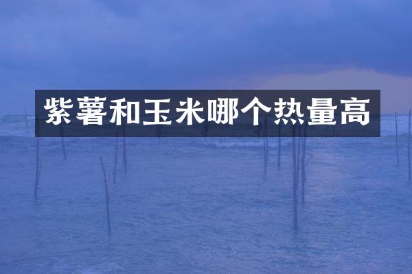 紫薯和玉米哪个热量高