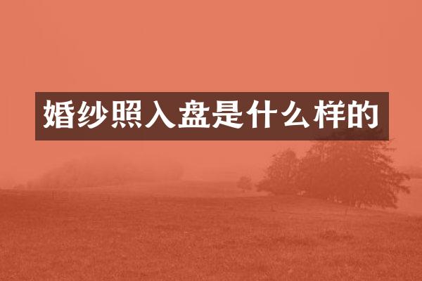 婚纱照入盘是什么样的