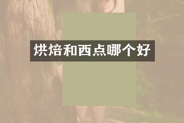 烘焙和西点哪个好