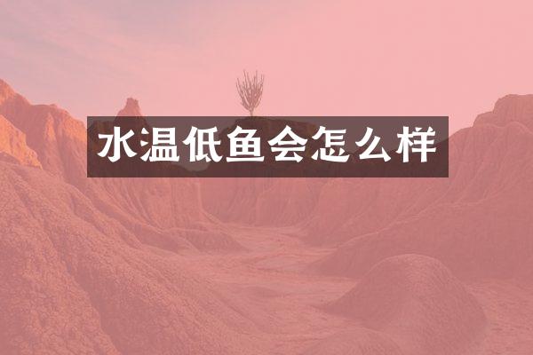 水温低鱼会怎么样