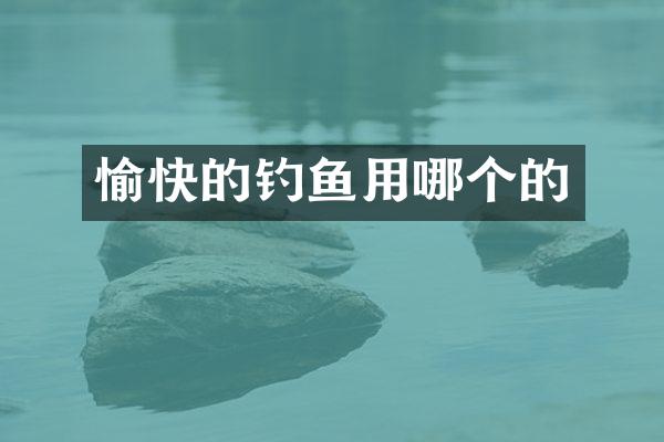 愉快的钓鱼用哪个的